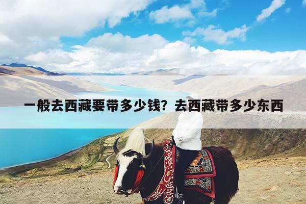 一般去西藏要带多少钱？去西藏带多少东西-第1张图片-小白杨旅行网